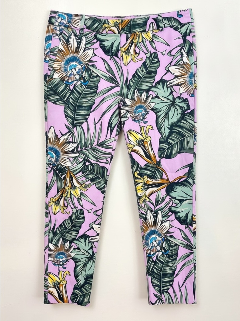 J Crew Factory Skimmer Pants Purple
Tropical Cropped Palm Size 10